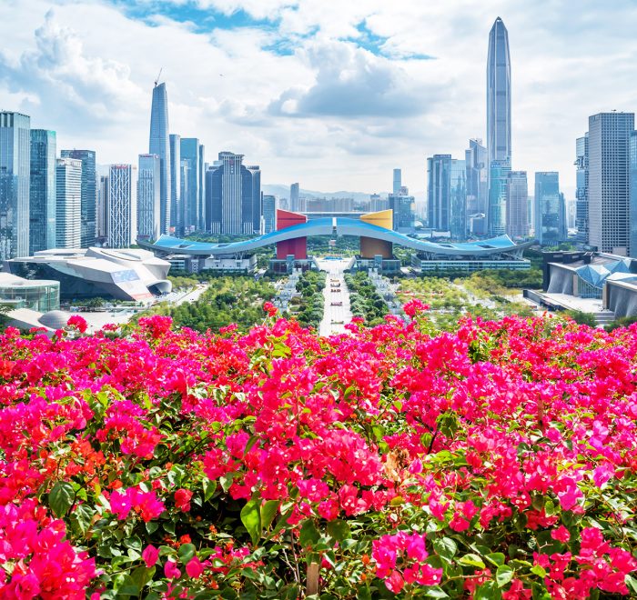 A scenic view of shenzhen lianhuashan park