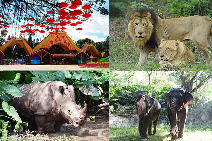 A scenic view of shenzhen safari park