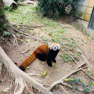 A scenic view of shenzhen safari park