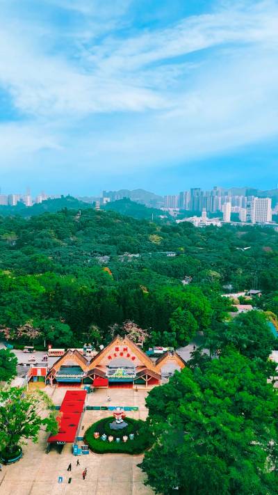 Shenzhen Safari Park: The Ultimate Destination for Animal Enthusiasts