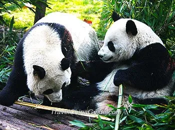 A scenic view of shenzhen safari park