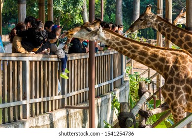 A scenic view of shenzhen safari park