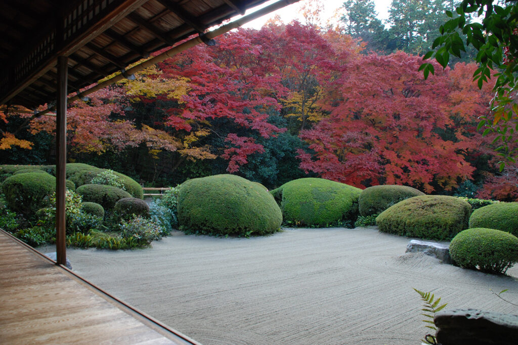 A scenic view of shijia_grand_courtyard
