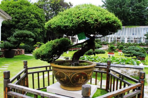 A scenic view of shuihui garden