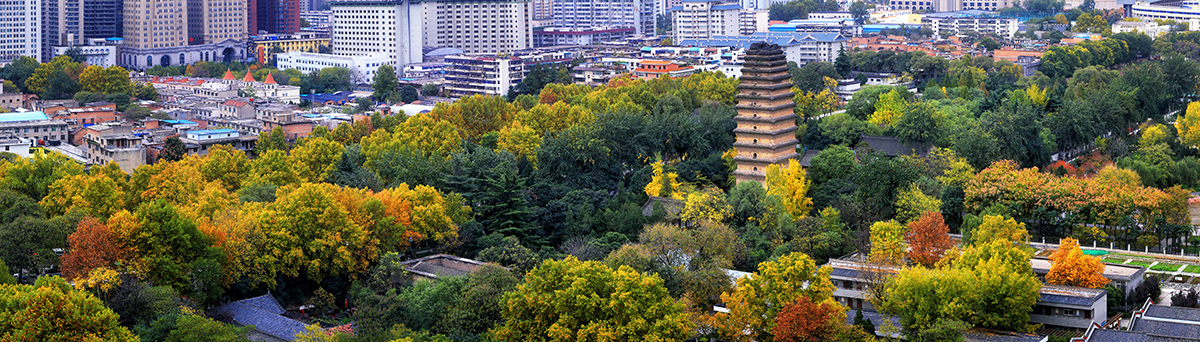 A scenic view of small_wild_goose_pagoda