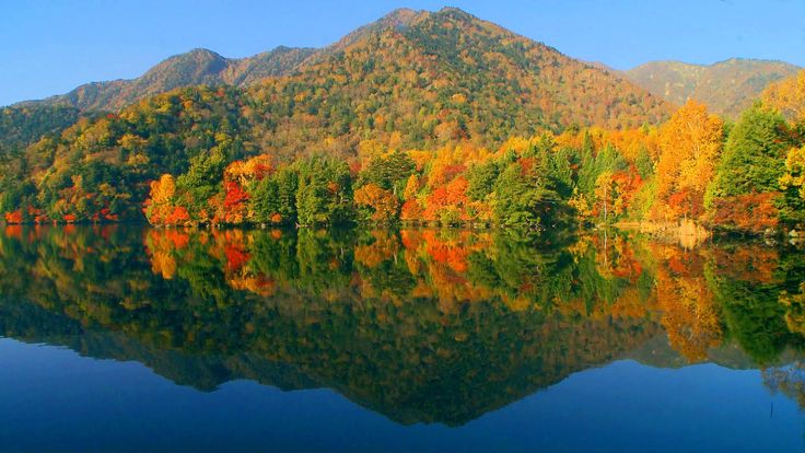 A scenic view of songze_relic_site