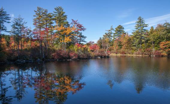 A scenic view of south lake revolutionary memorial