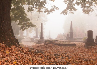 A scenic view of spring and autumn tombs