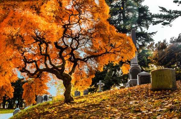 Discover the Mystique of the Spring and Autumn Tombs