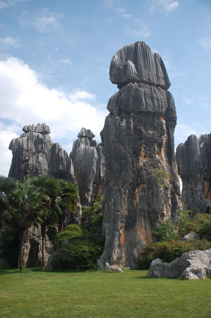 A scenic view of stone forest