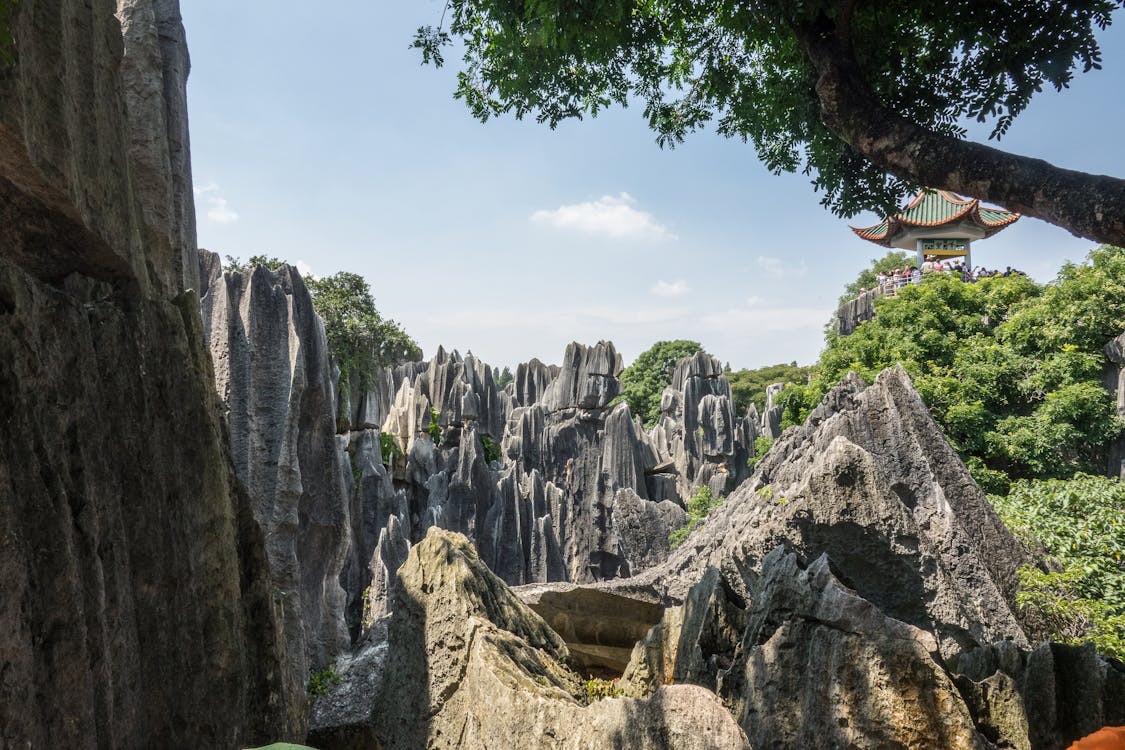 A scenic view of stone forest