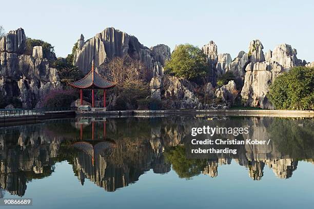 A scenic view of stone forest