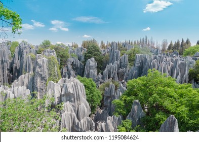 A scenic view of stone forest