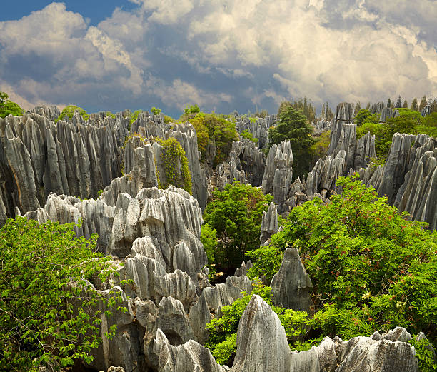 Unveiling the Secrets of Stone Forest: A Guide to Yunnan’s Geological Marvel