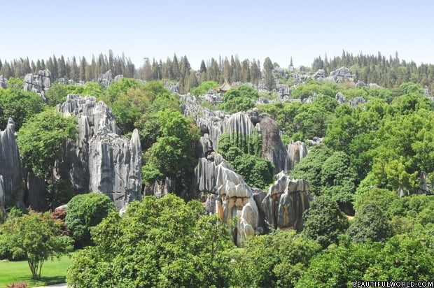 A scenic view of stone forest scenic area