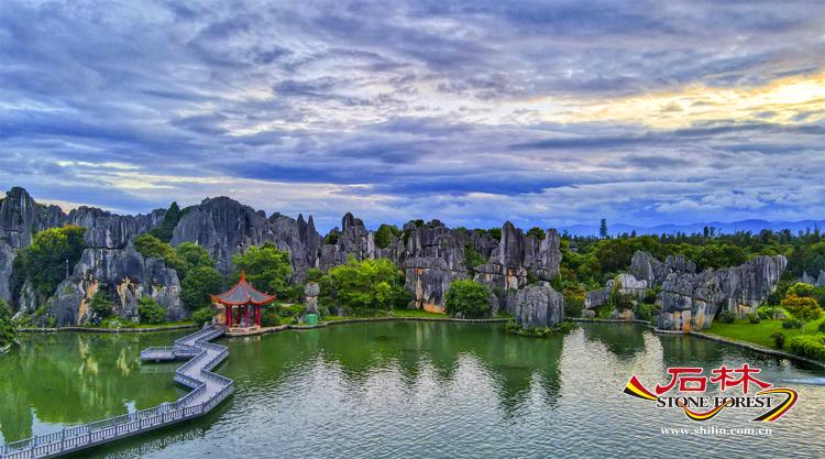 A scenic view of stone forest scenic area