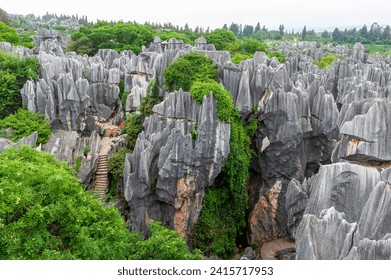 A scenic view of stone forest scenic area