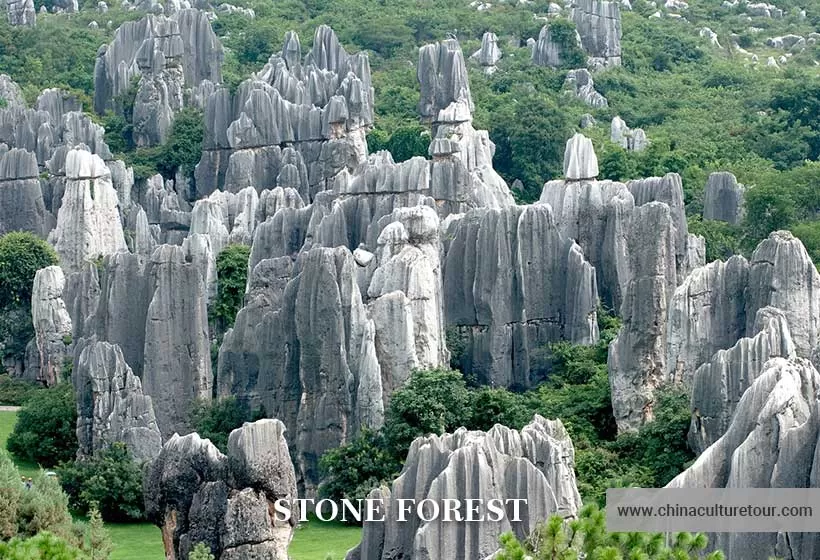 A scenic view of stone forest scenic area
