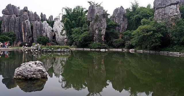 A scenic view of stone forest scenic area