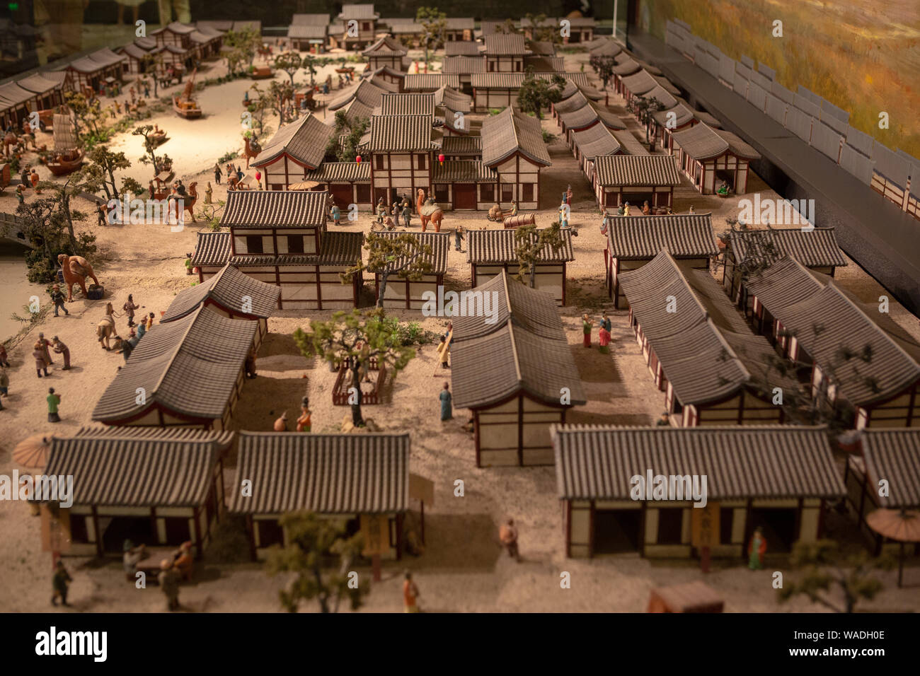 A scenic view of sui_dynasty_and_tang_dynasty_changan_city_ruins