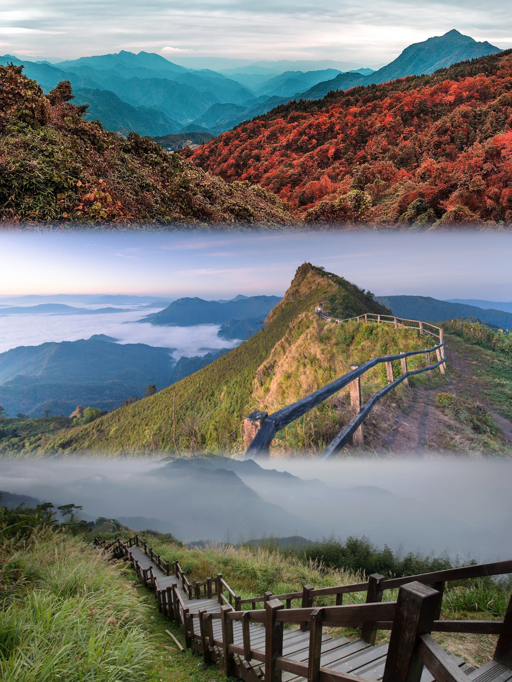 A scenic view of suichang gold mine
