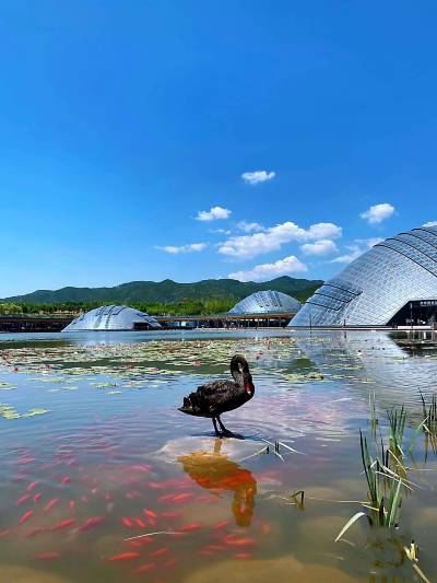 A scenic view of Taiyuan Zoo