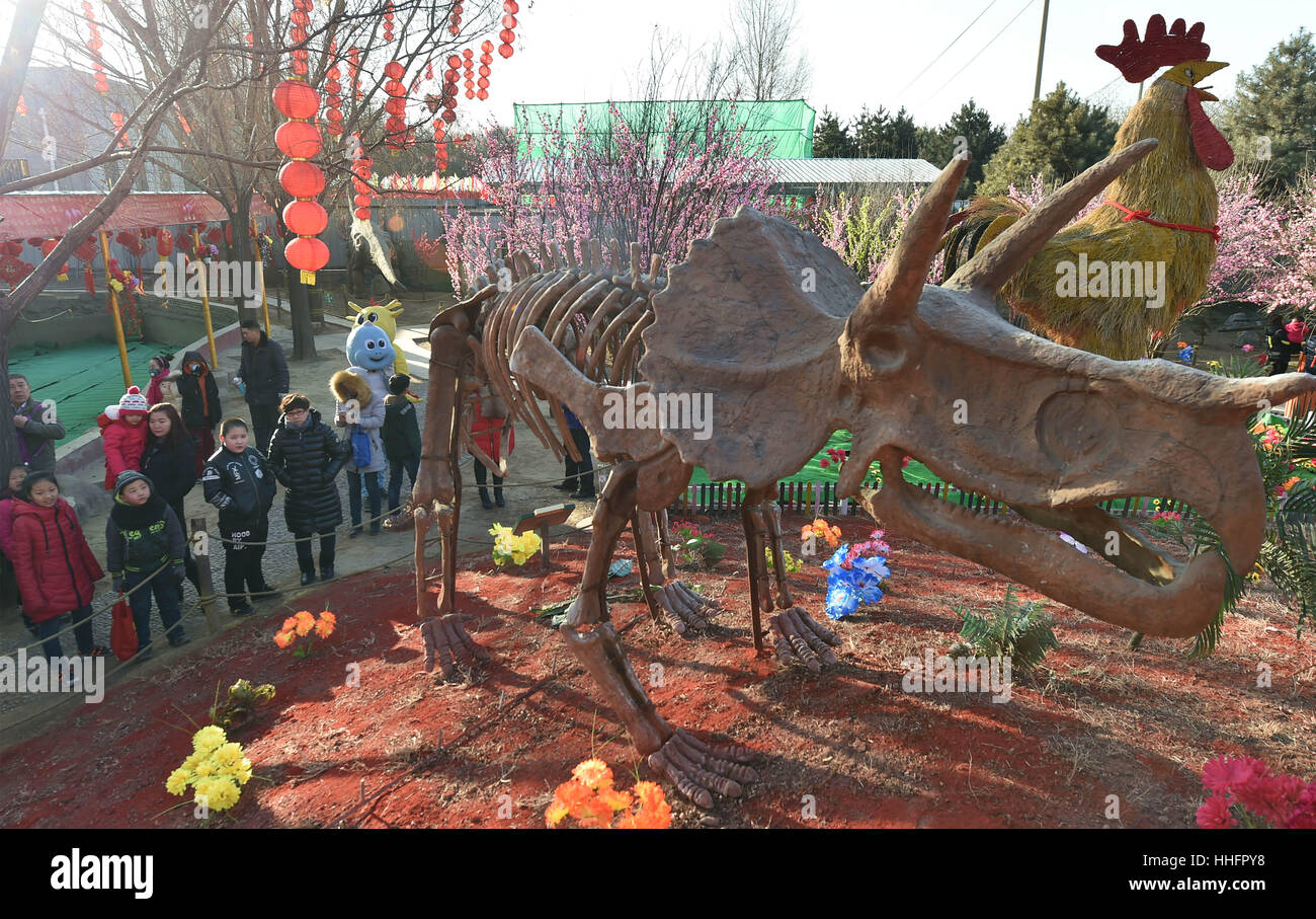 A scenic view of Taiyuan Zoo