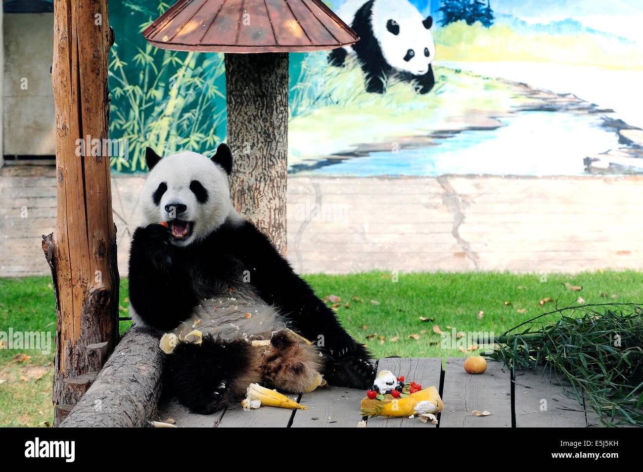 A scenic view of Taiyuan Zoo