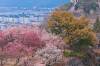 A scenic view of taizhou prefecture city wall