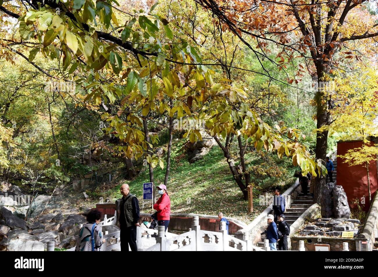 A scenic view of tanzhe_temple