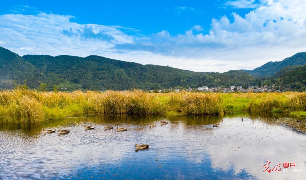 Discover the Serenity of Tengchong Beihai Wetland: A Nature Lover’s Paradise