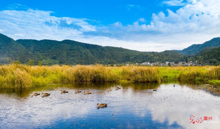 Discover the Serenity of Tengchong Beihai Wetland: A Nature Lover’s Paradise