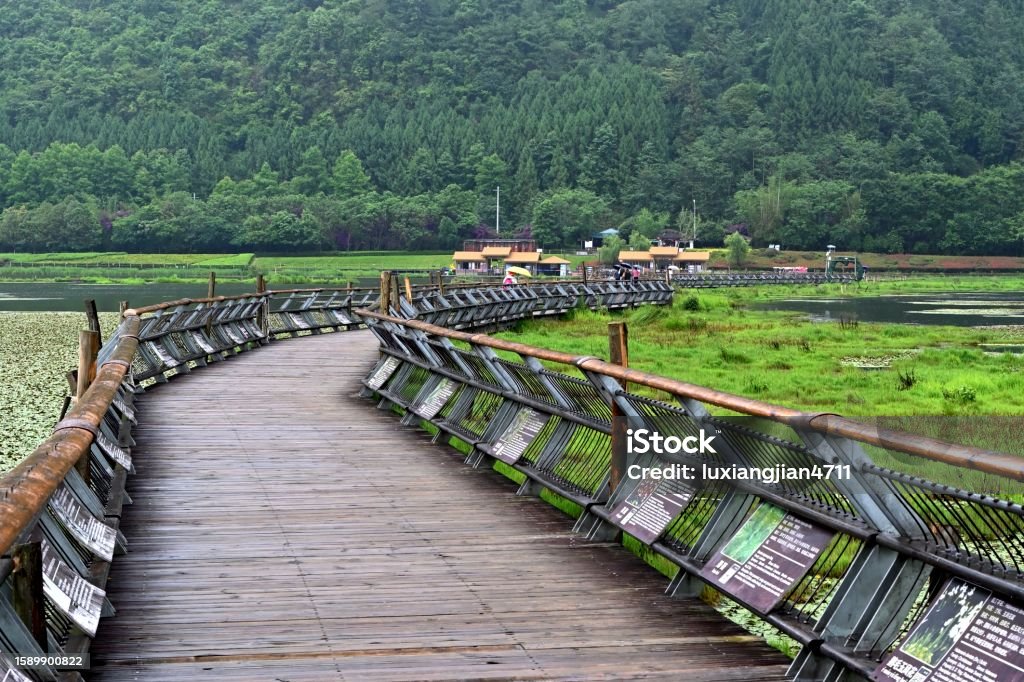 A scenic view of tengchong beihai wetland