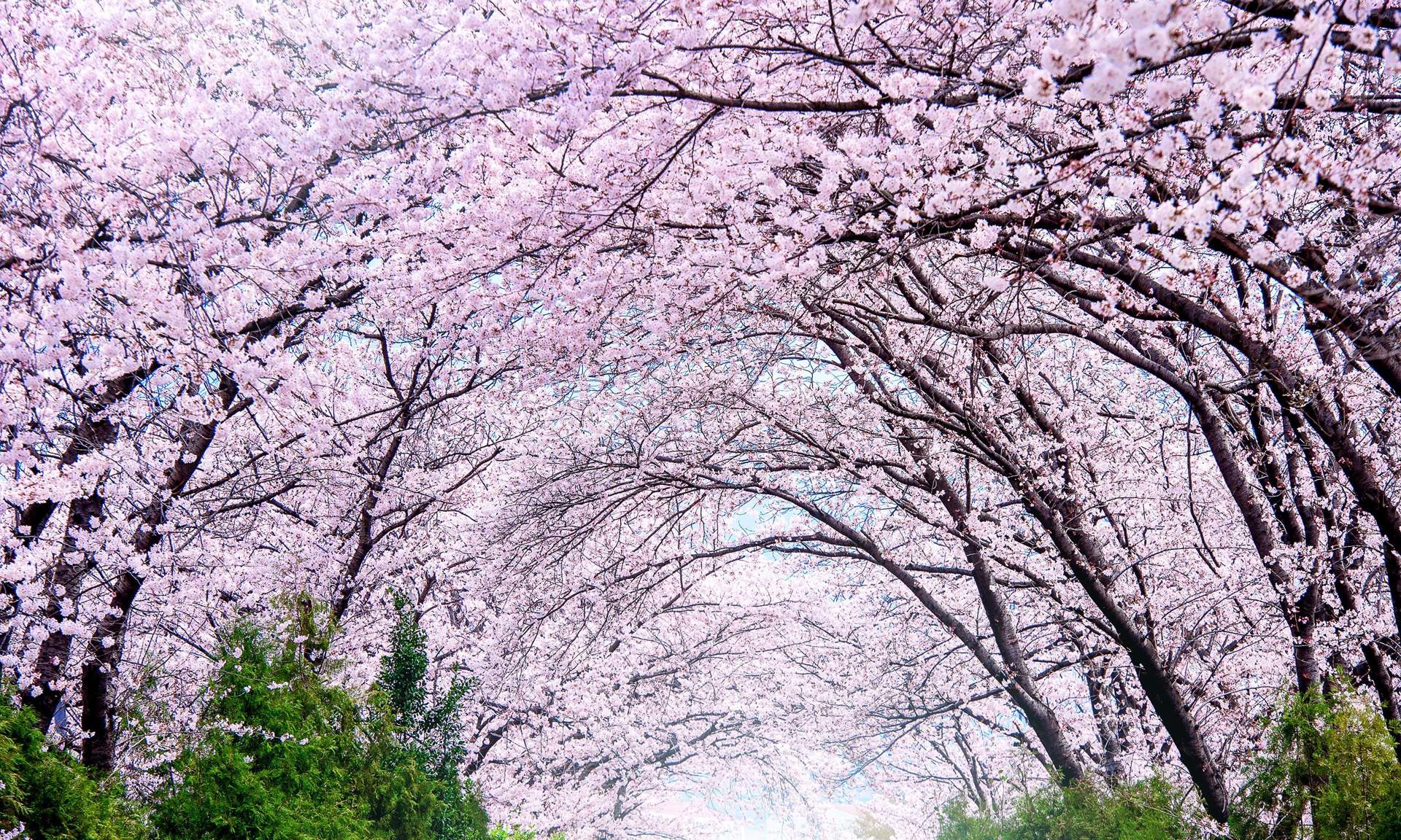 A scenic view of The Worlds Best Spring