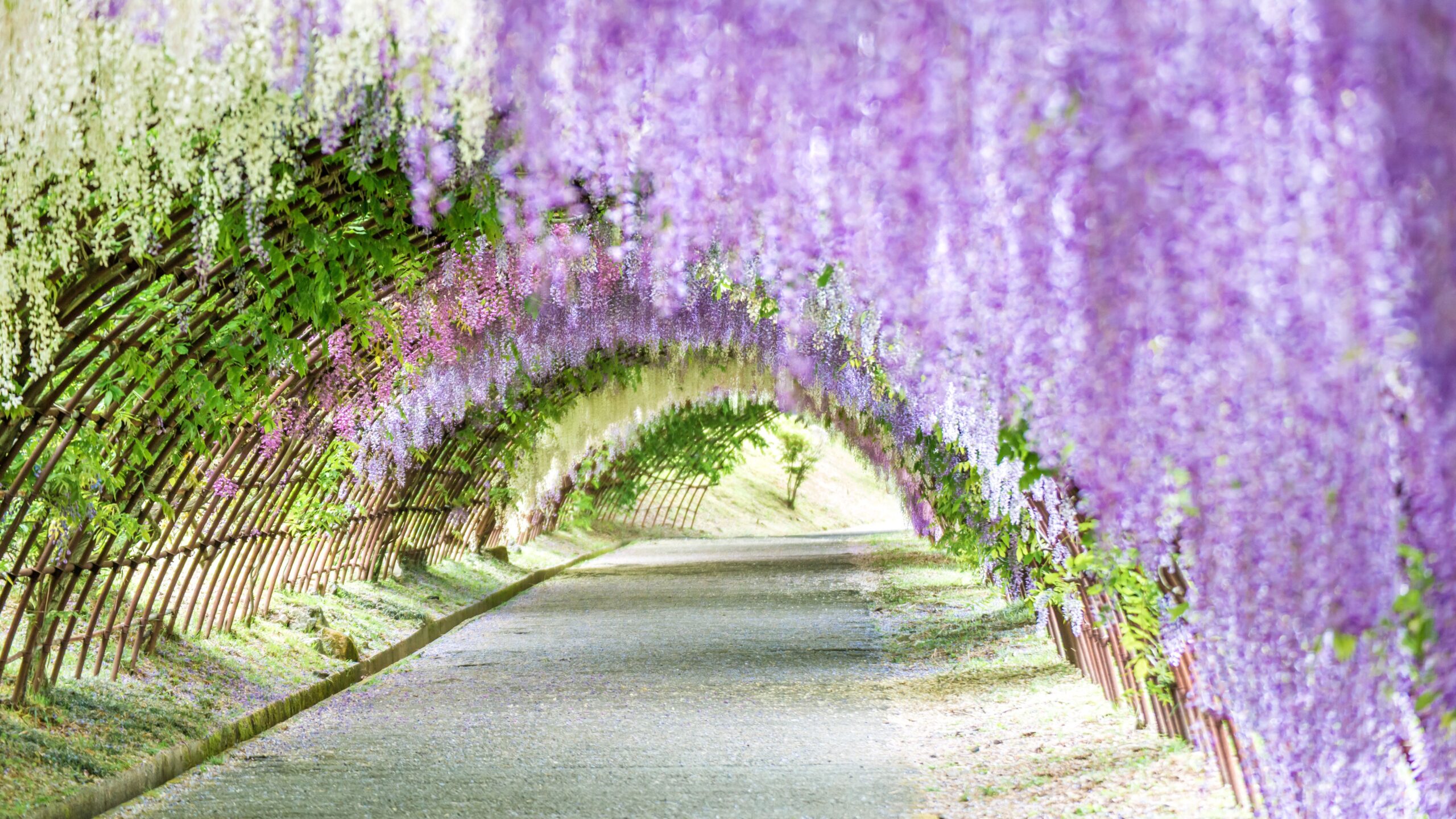 A scenic view of The Worlds Best Spring