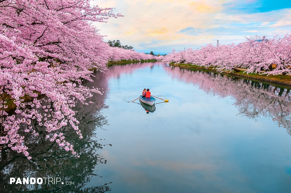A scenic view of The Worlds Best Spring