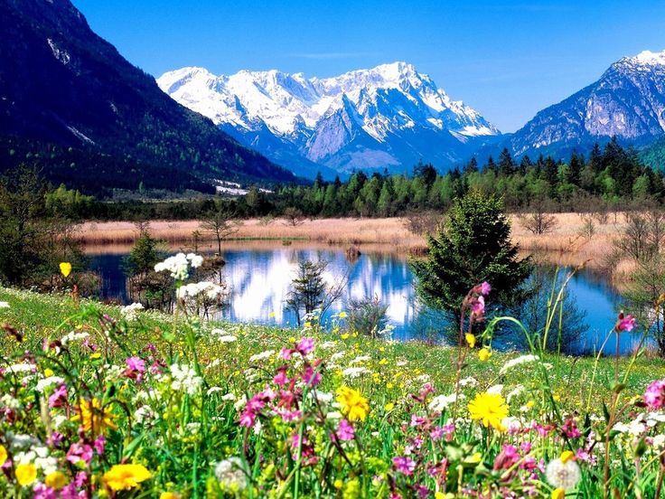 A scenic view of The Worlds Best Spring