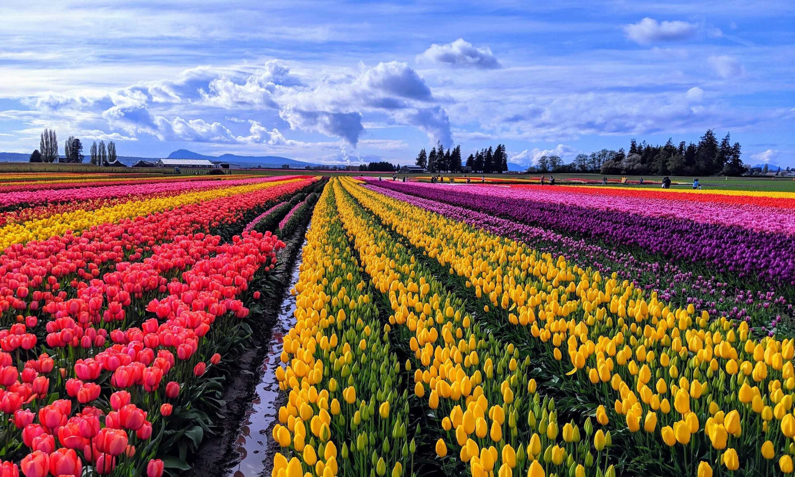 A scenic view of The Worlds Best Spring