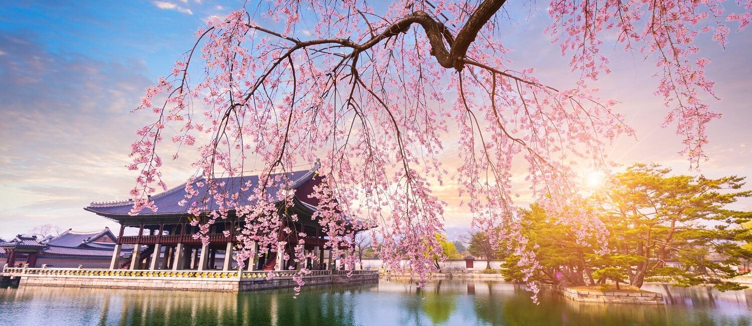 A scenic view of The Worlds Best Spring