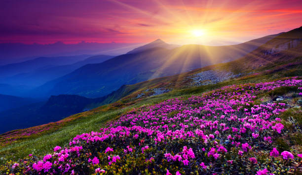 A scenic view of The Worlds Best Spring