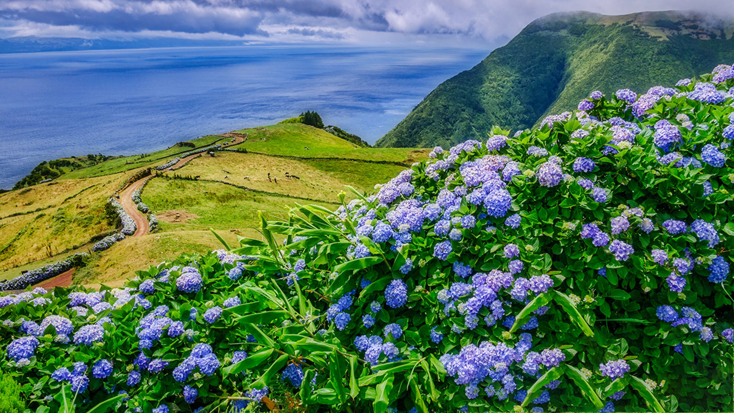 A scenic view of The Worlds Best Spring