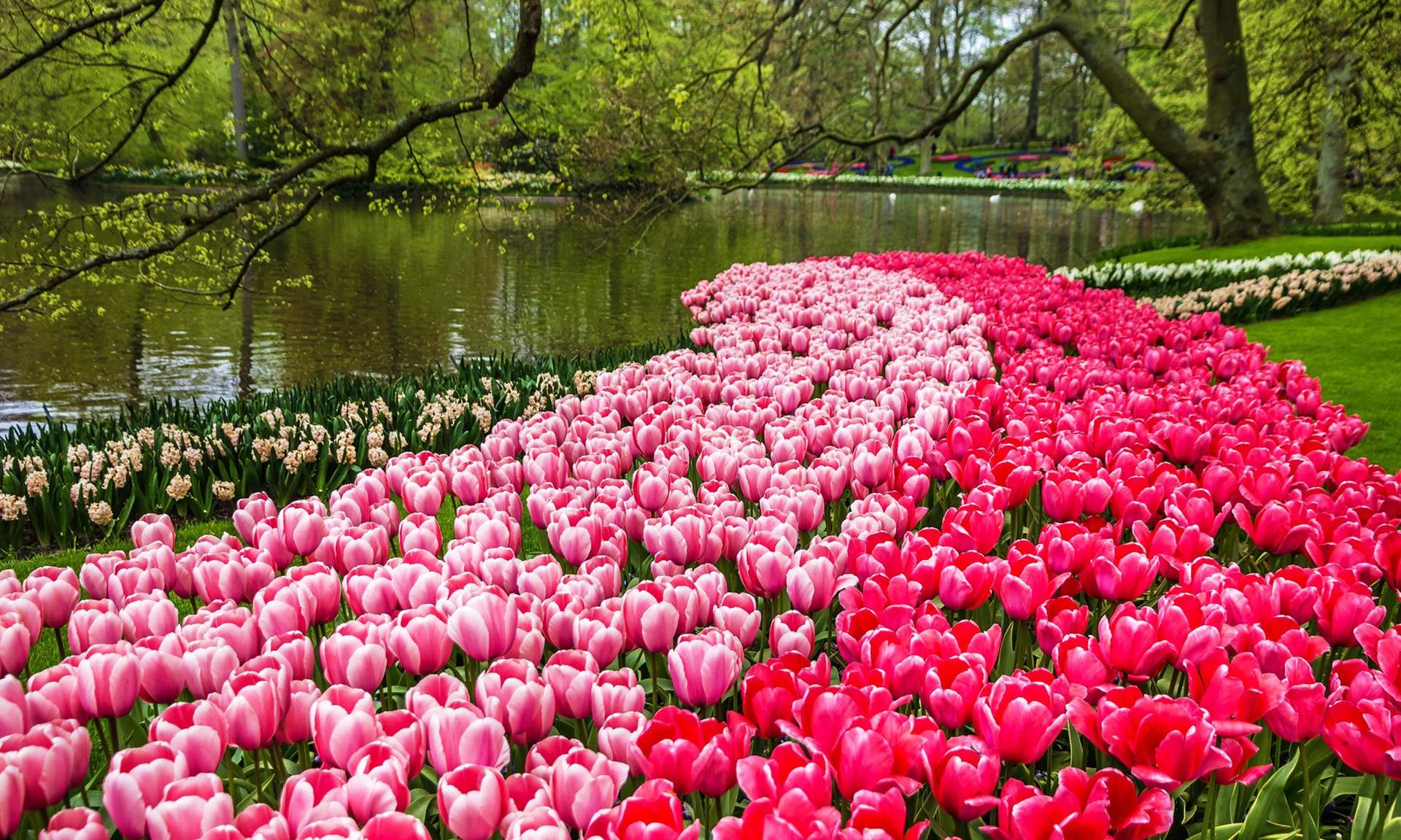 A scenic view of The Worlds Best Spring