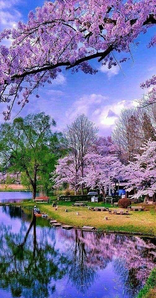 A scenic view of The Worlds Best Spring