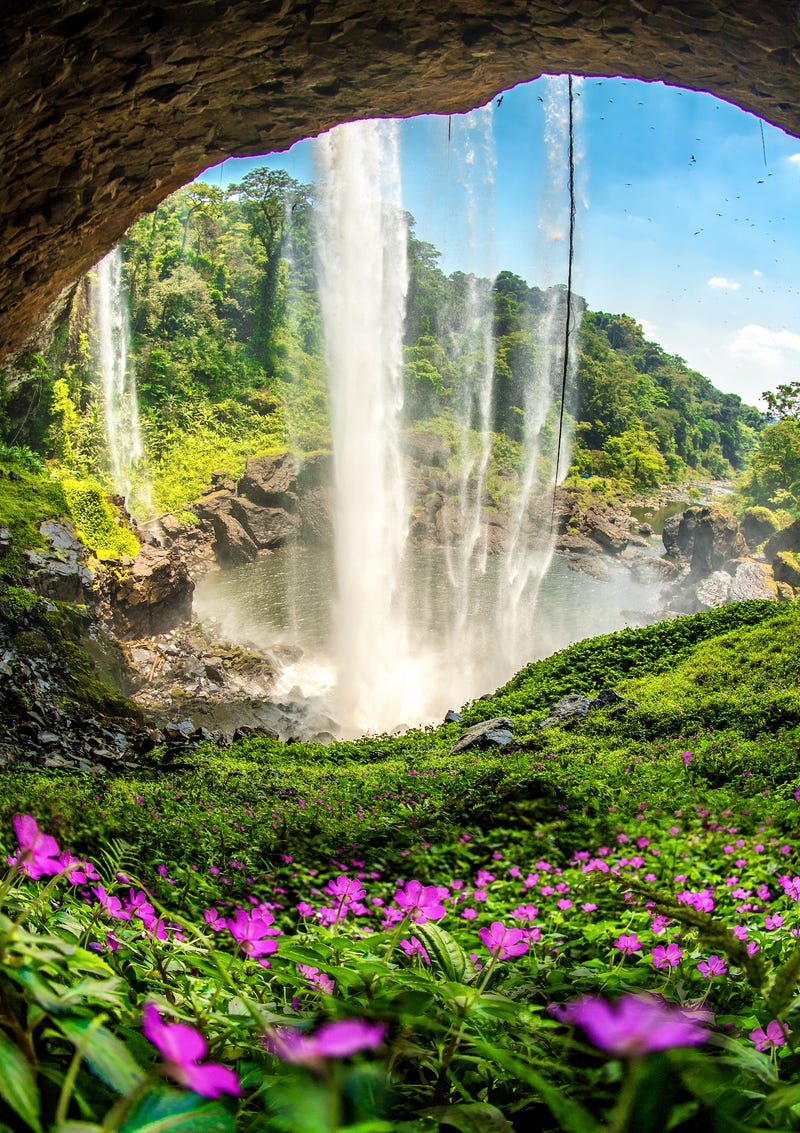 A scenic view of The Worlds Best Spring