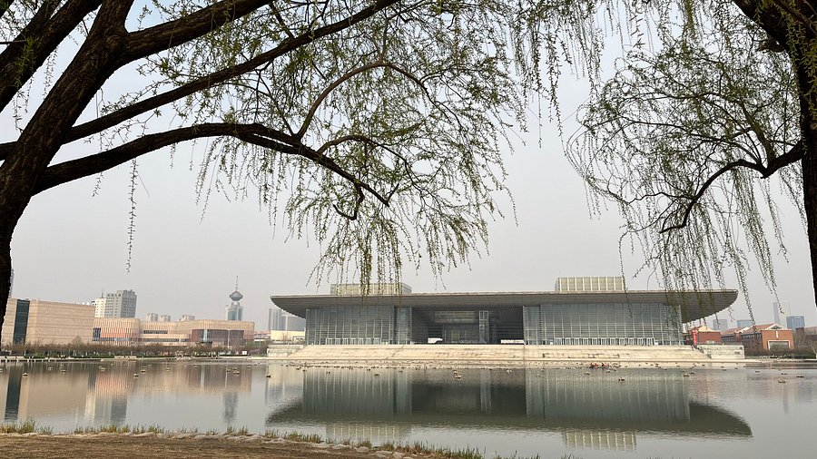 Discover the Treasures of Tianjin Museum: A Journey Through Art and History