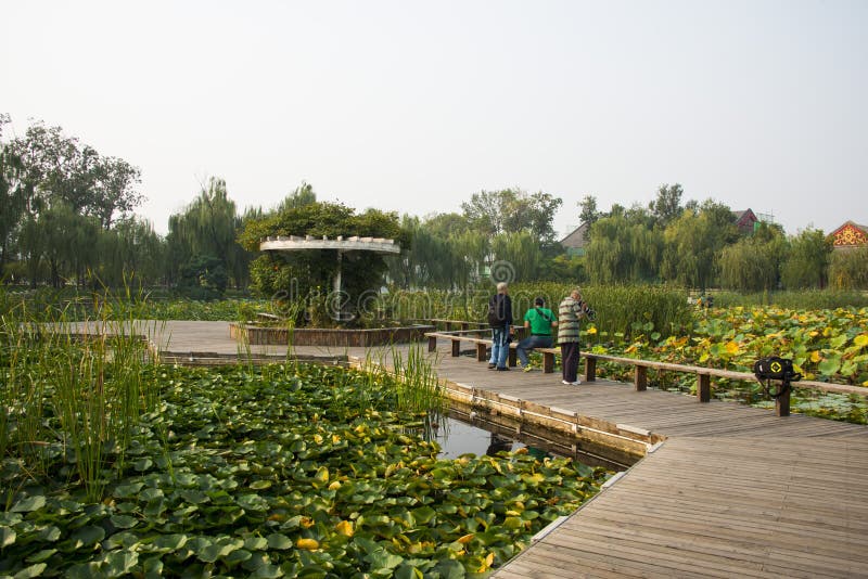 Experience the Best of Tianjin Water Park: Attractions, Dining, and More