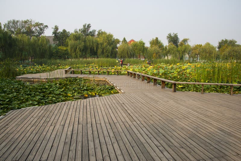 A scenic view of tianjin_water_park