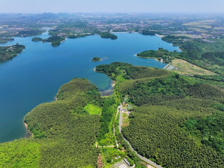 Unlocking the Secrets of Tianmu Lake: Nature’s Breathtaking Canvas in China
