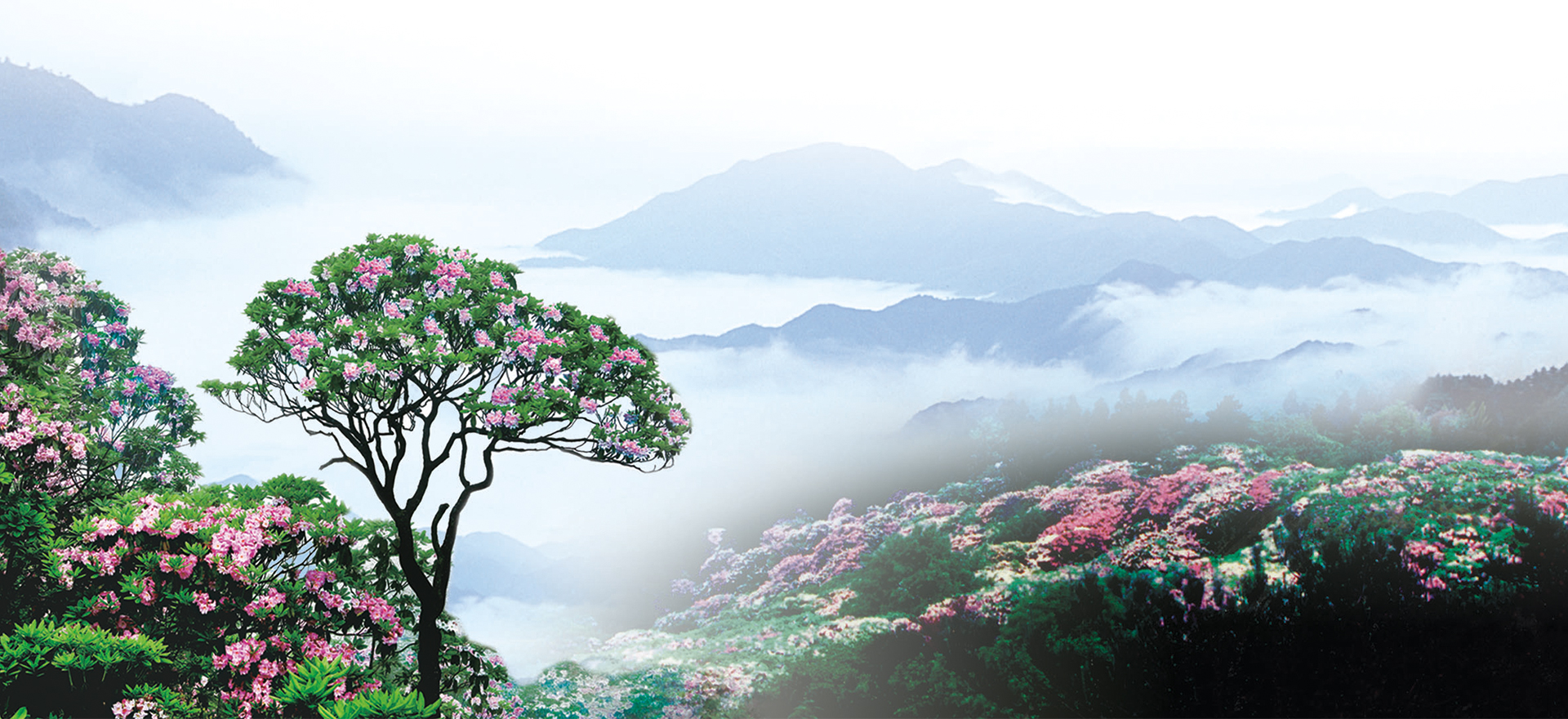 A scenic view of Tiantai An
