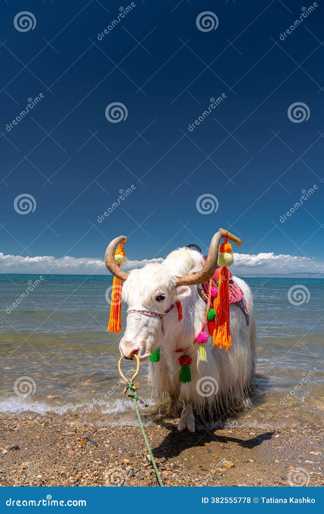 A scenic view of tianzhu white yak scenic area